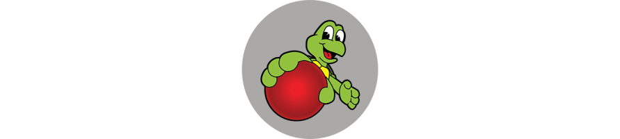 Εκπαιδευτικά παιχνίδια για μαθητές με μαθησιακές δυσκολίες